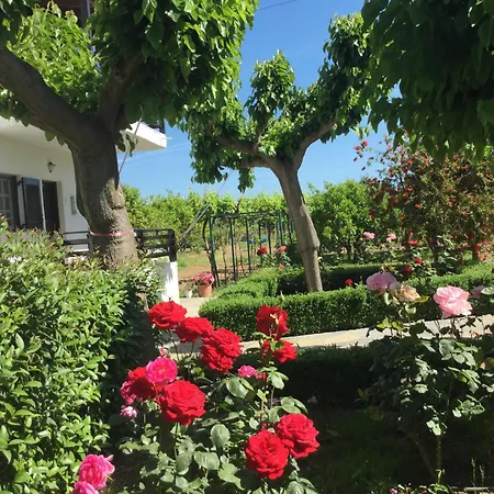 Lejlighed Stavrianna Eco Paradise Diakopto